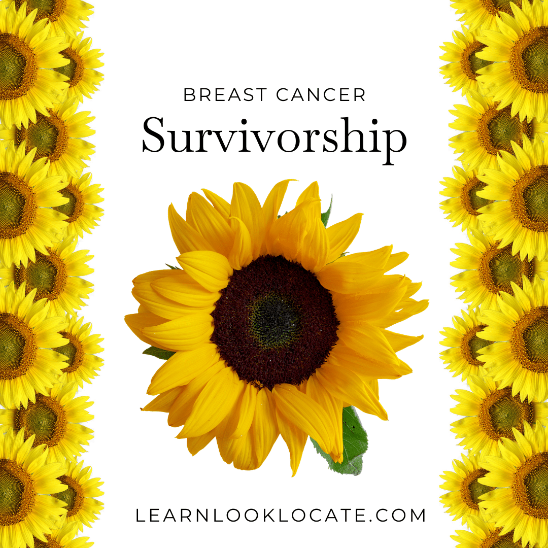 big beautiful sunflower with printed text saying, " Breast Cancer Survivorship", with learnlookloccate.com at the bottom.