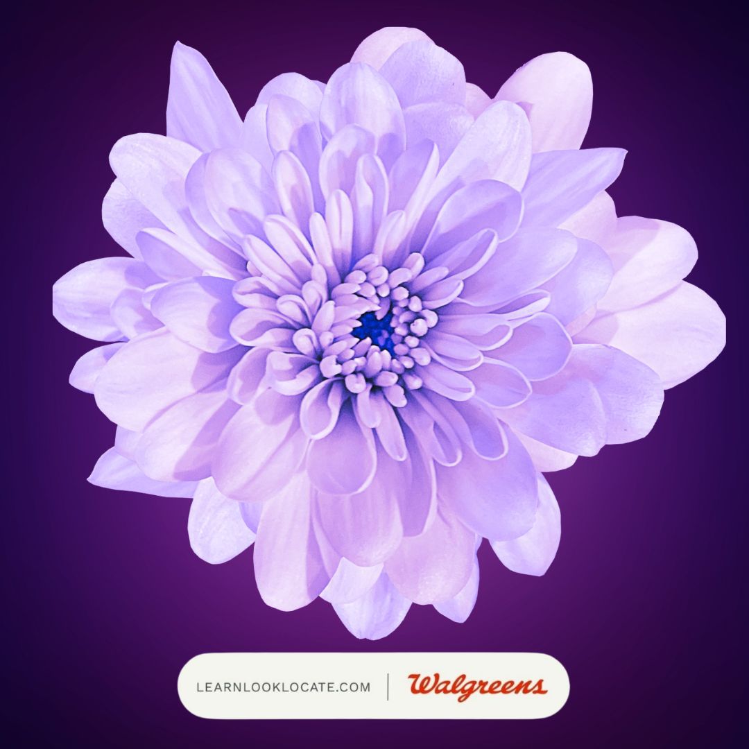 Flower with text under saying walgreens and learn look locate